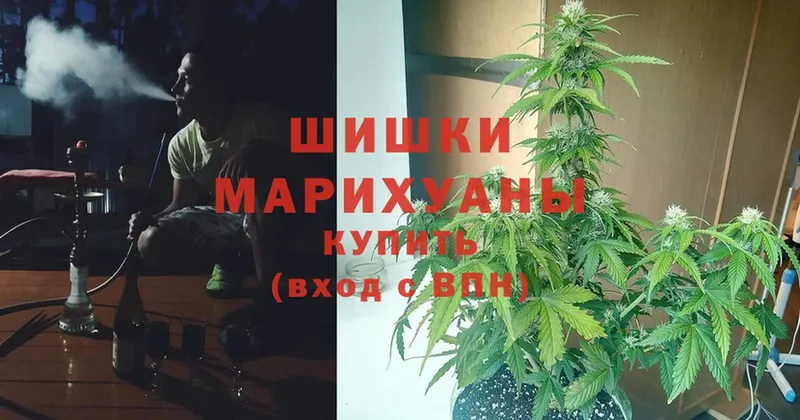 где найти наркотики  Воткинск  Бошки марихуана Amnesia 